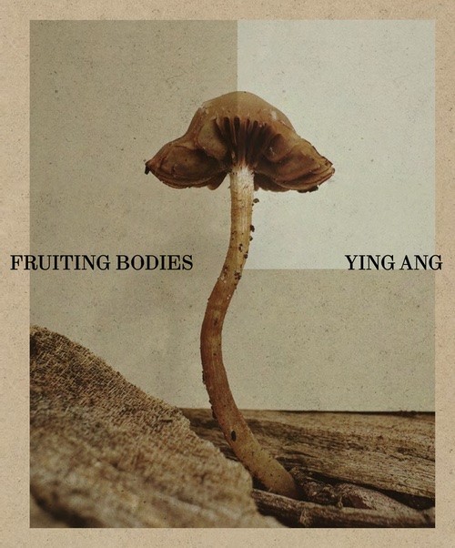 Ying Ang – Fruiting Bodies