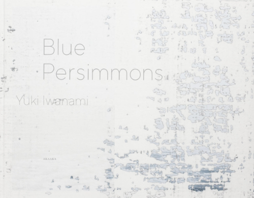 Yuki Iwanami – Blue Persimmons