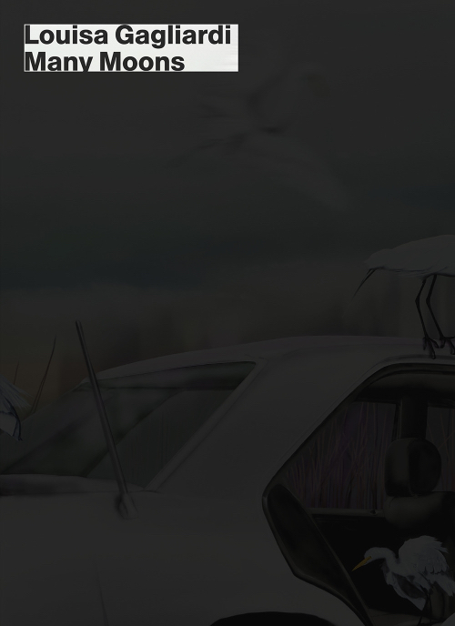 Louisa Gagliardi – Many Moons