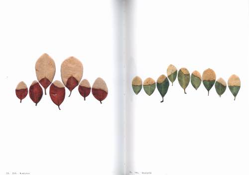 Anne Geene Book Of Plants