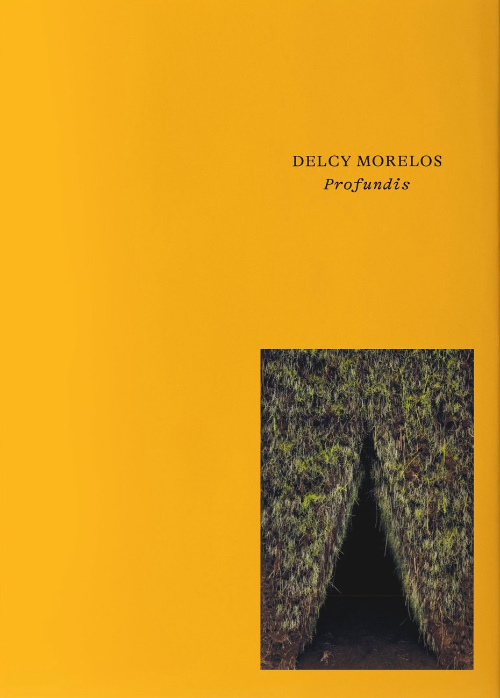 Delcy Morelos - Profundis