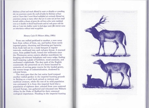 Making Kin – Animal Series