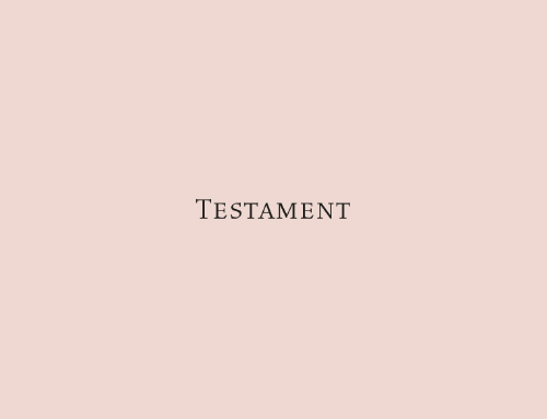 Sabine Delafon - Testament
