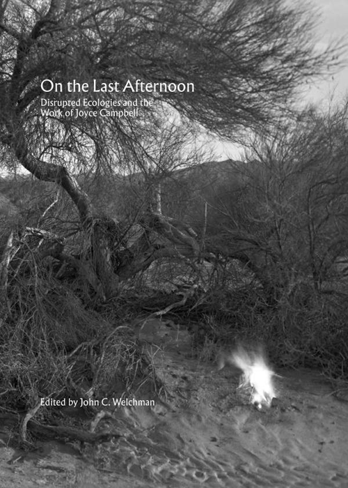 On the Last Afternoon -Disrupted Ecologies and the work of Joyce Campbell