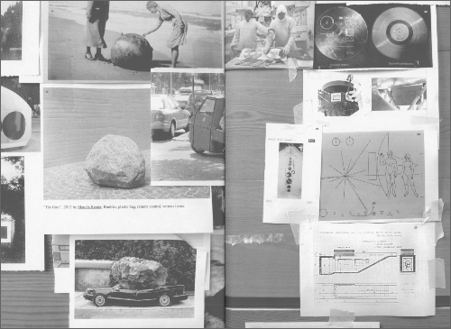 Luca Trevisani  - Salad of Fossils