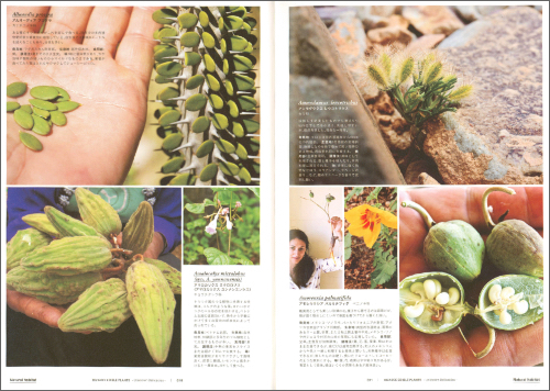 Bizarre Edible Plants: Unknown Delicacies