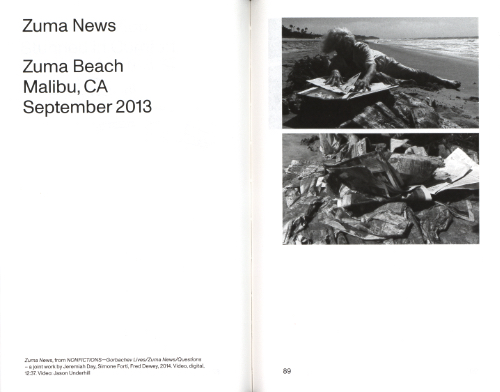 Simone Forti News Animations