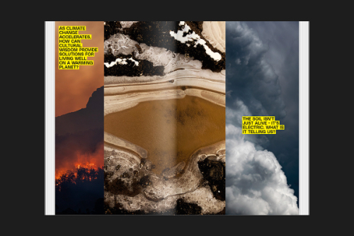 Imagine - Embracing Chaos and Possibility in a Planetary Emergency