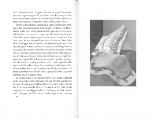 Silent Whale Letters