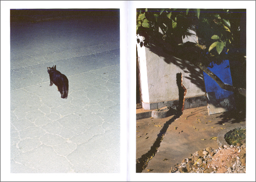 Beatriz Banha - Midday Moon