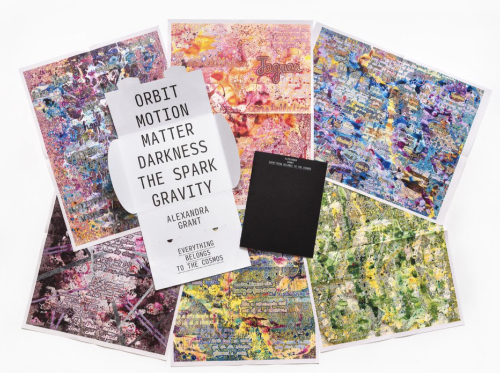 Alexandra Grant - Everything Belongs to the Cosmos