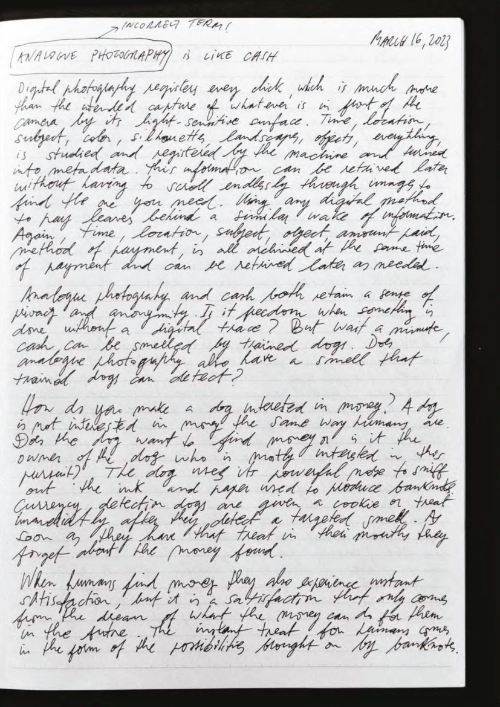 Adrià Julià - Not Even the Dead will Survive