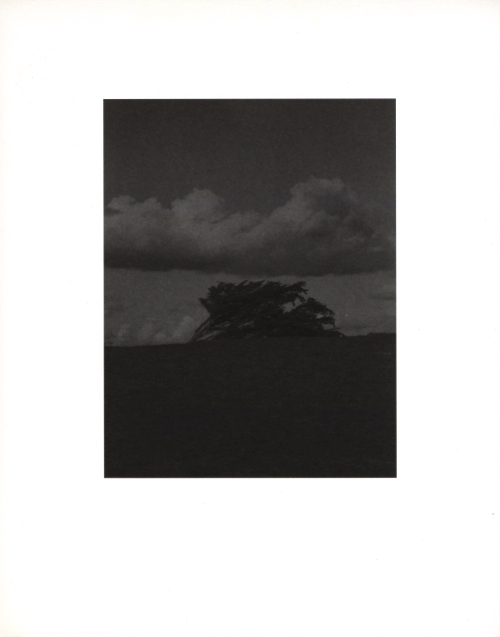 Israel Ariño - La gravetat del lloc