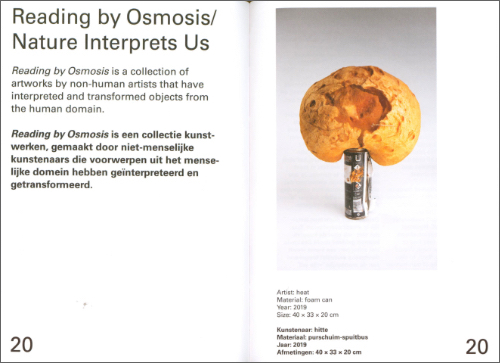 Semâ Bekirović - For Every Atom...