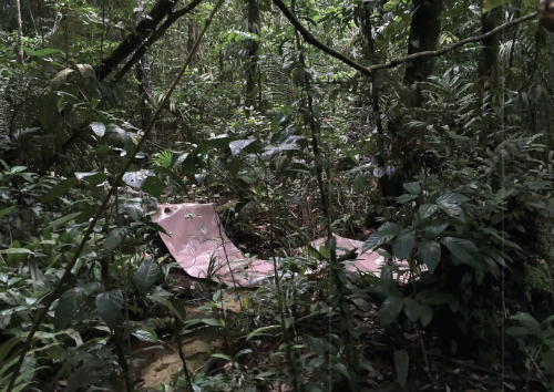 Adrià Julià - Not Even the Dead will Survive