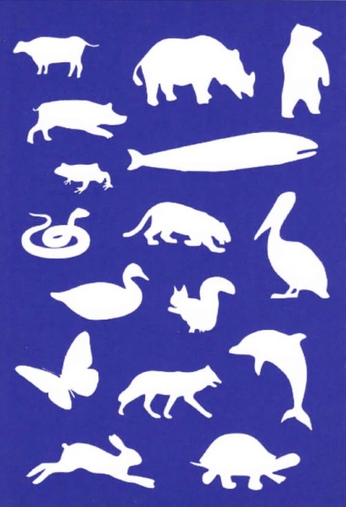 Making Kin – Animal Series