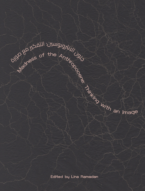 Madness of the Anthropocene