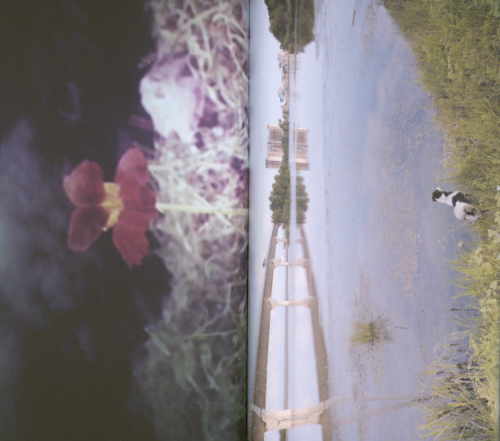 Tekla Aslanishvili - The Mountain Speaks to the Sea