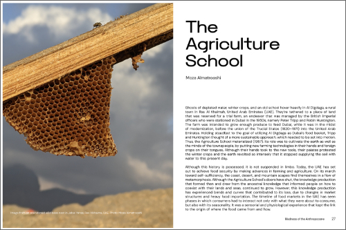 Madness of the Anthropocene