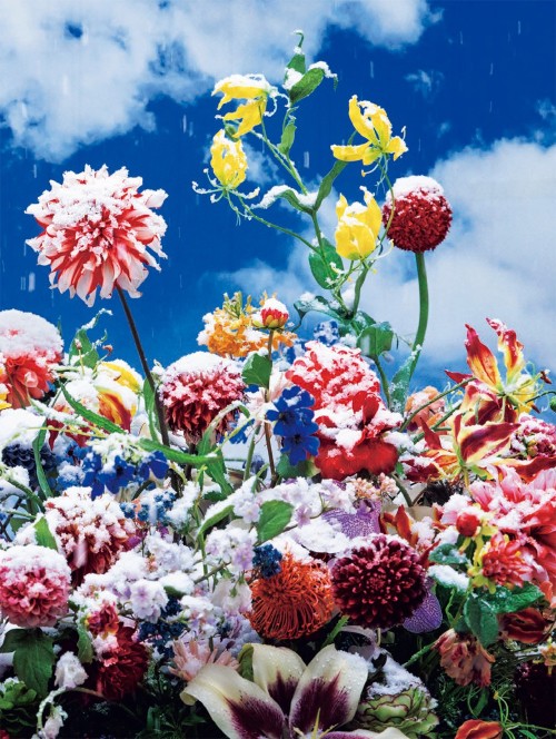 Mika Ninagawa – Eternity in a Moment Vol 1