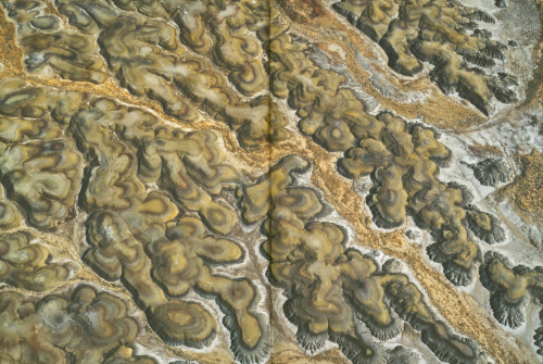 Fazal Sheikh – In Place