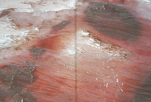 Fazal Sheikh: Thirst – Great Salt lake