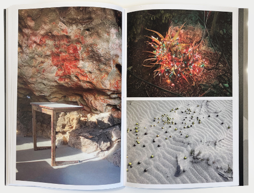 Sjoerd Martens - My neighbor has petroglyphs in her backyard