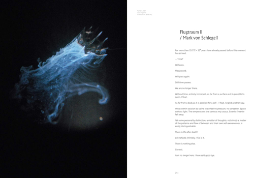 On the Last Afternoon -Disrupted Ecologies and the work of Joyce Campbell