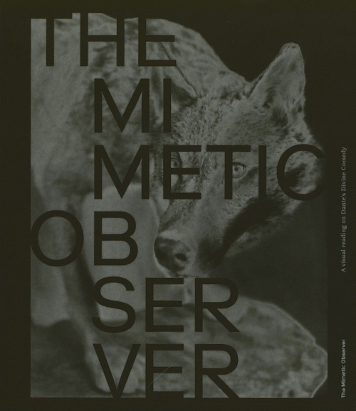 The Mimetic Observer. A Visual Reading on Dante’s Divine Comedy