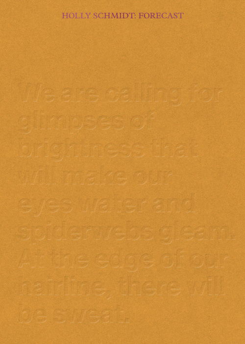 Holly Schmidt - Forecast