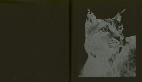 The Mimetic Observer. A Visual Reading on Dante’s Divine Comedy