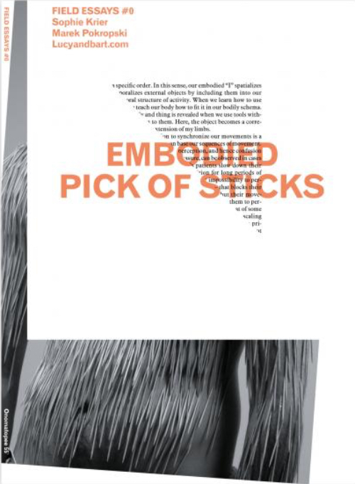 Field Essays #0- Embodied Pick Of Sticks