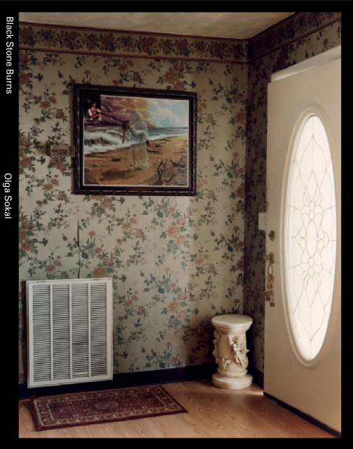 Olga Sokal - Black Stone Burns