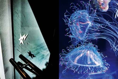 Mika Ninagawa – Eternity in a Moment Vol 3