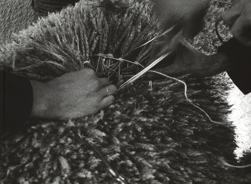 Ana Lupas - Drawing the Solemn Process