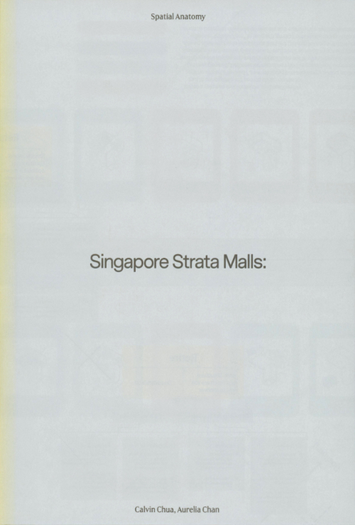 Singapore Strata Malls : A Retrospective for the Future