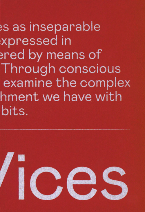 Double Take: On Vices