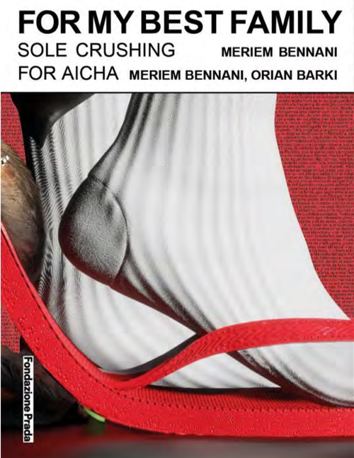 For My Best Family - Meriem Bennani