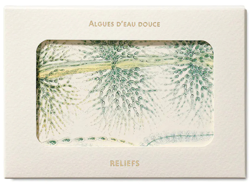 British Fresh-Water Algae (1882-1884): Les Livres des Images