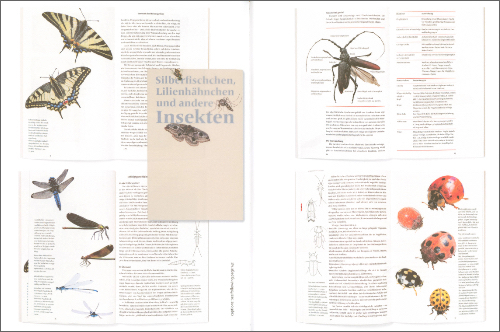 Typobiography - Jost Hochuli, The Work of 60 Years