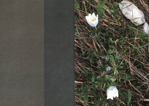 Roos Theuws - Binntal