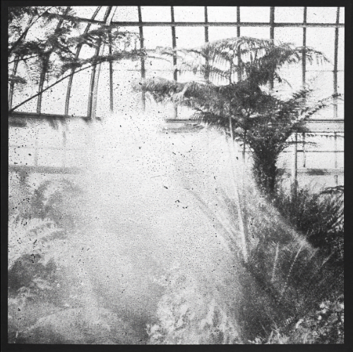 Corinne L. Rusch - Indeed