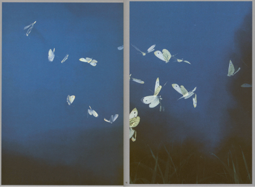 Rogier Maaskant – Sense of Presence