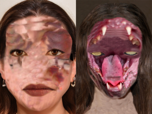 Very Charming Animals: Humans