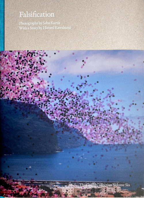 Falsification: Photographs by Seba Kurtis with a Story by Hiromi Kawakami