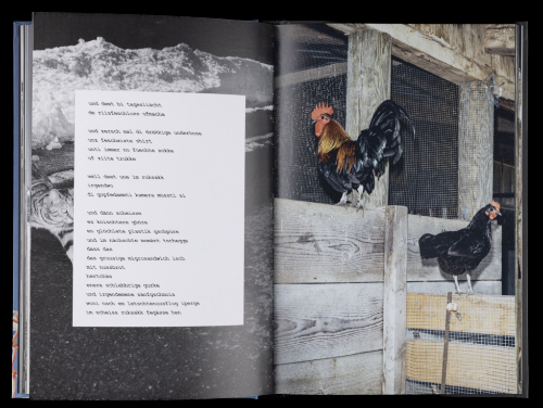 Tom Huber, Dominic Oppliger – chönnti