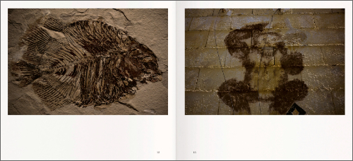 Jose Manuel Navia - Un Reino Maravilloso