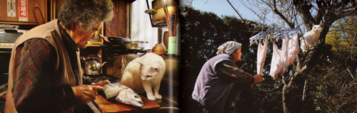 Miyoko Ihara - Misao the Big Mama and Fukumaru the Cat