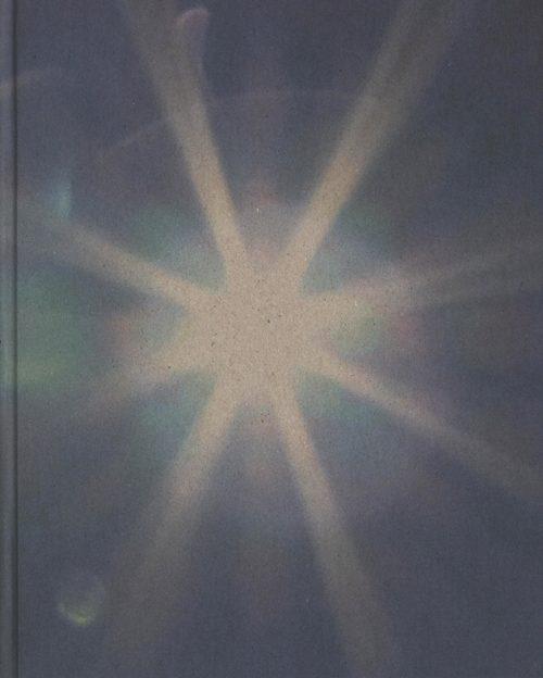 Dana Claxton - The Sioux Project | Tatanka Oyate