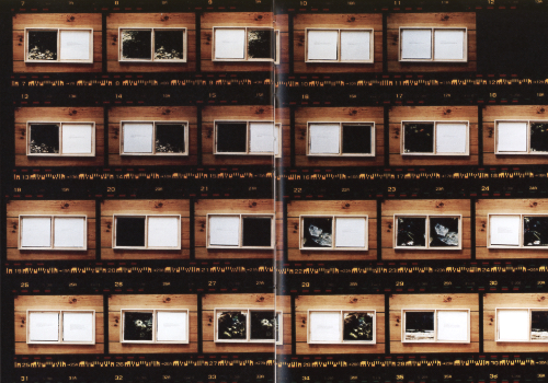 Madeleine Filippi - Fragment.s